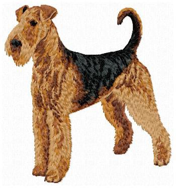 Airedale Terrier - DD141