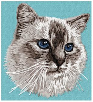 Birman Cat - CD12