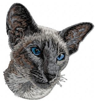 Siamese Cat - CD4