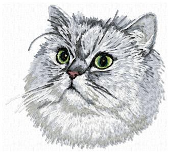 Persian Cat - CD6