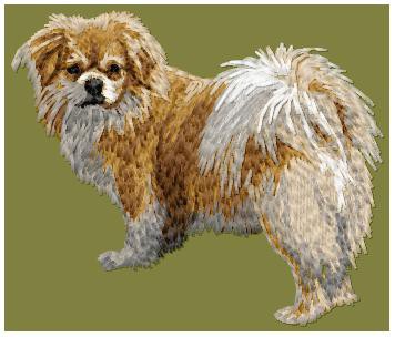 Tibetan Spaniel - DD112