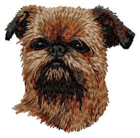 Brussels Griffon - DD115