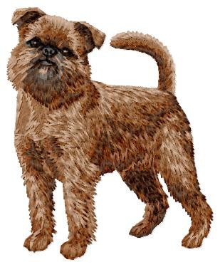 Brussels Griffon - DD116