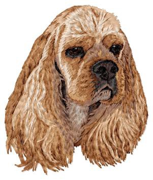 American Cocker Spaniel - DD118