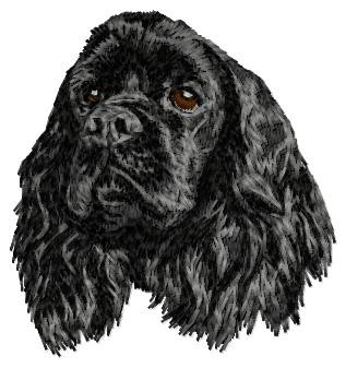 American Cocker Spaniel - DD119