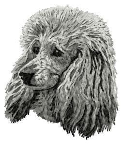 Poodle - DD126