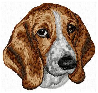 Basset Hound - DD133