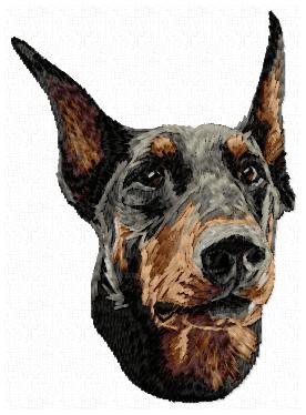 Dobermann - DD137