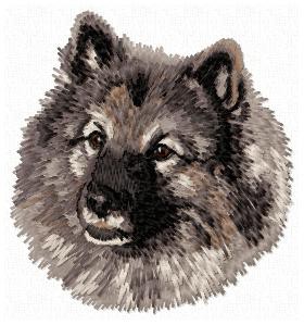 Keeshond - DD154