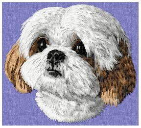 Shih-Tzu - DD160