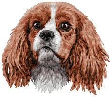 Cavalier King Charles Spaniel - DD170