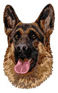 German  Shepherd - DD173