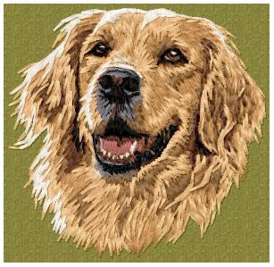 Golden Retriever -DD178