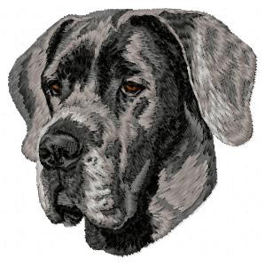 Great Dane - DD187