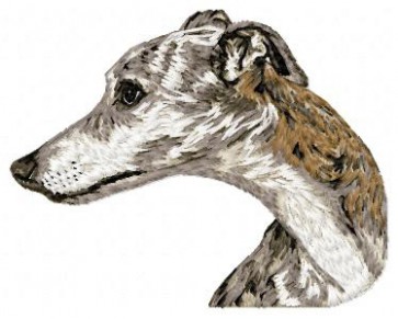 Whippet - DD189