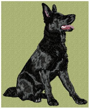 German Shepherd -  DD191