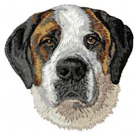 Saint Bernard Dog  - DD194