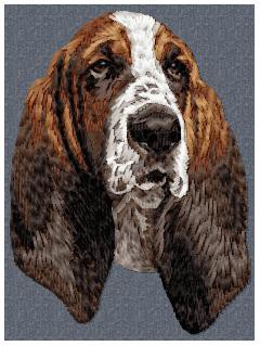 Basset Hound -  DD198