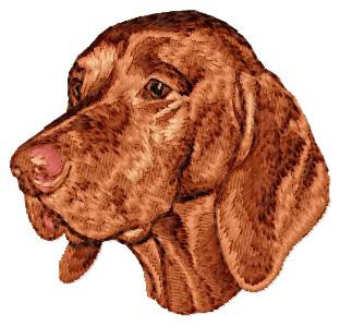 Hungarian Pointer (Vizsla) - DD203