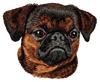 Petit Brabancon (Griffon) - DD210