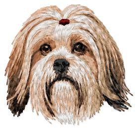 Lhasa Apso  - DD213