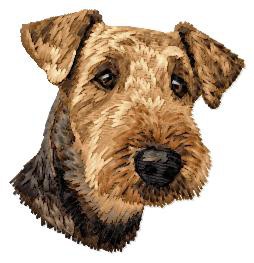 Welsh Terrier - DD214