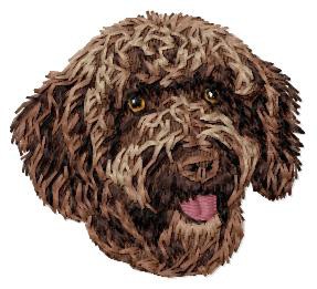 Spanish Water Dog - DD215