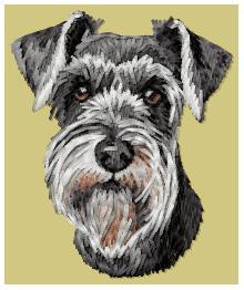 Schnauzer - DD217