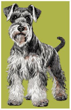 Schnauzer - DD218