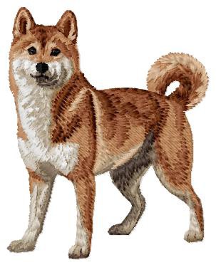 Shiba Inu - DD219