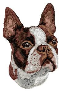 Boston Terrier - DD220