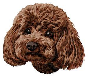 Poodle Toy - DD224