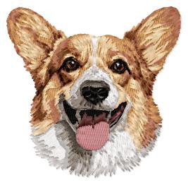 Pembroke Welsh Corgi - DD225