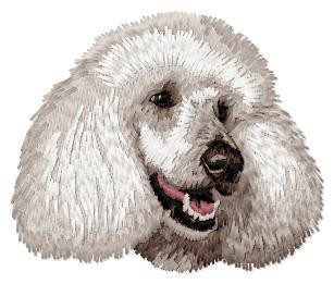 Poodle - DD227