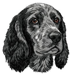English Cocker Spaniel - DD229