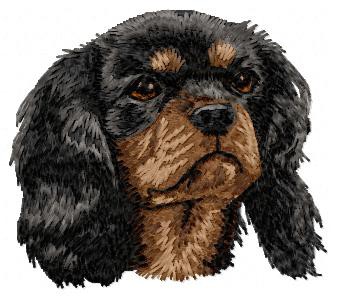 Cavalier King Charles Spaniel - DD26