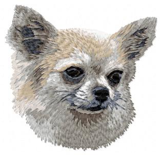 Chihuahua - DD28