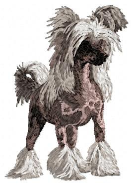 Chinese Crested Dog - DD30