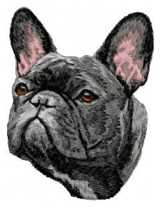 French Bulldog - DD40