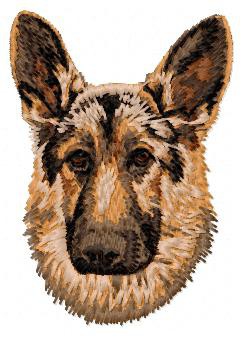 German Shepherd - DD42