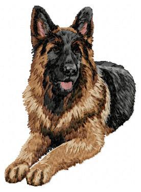 German Shepherd - DD43