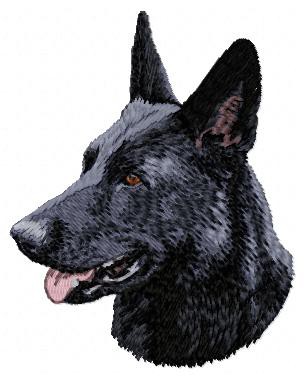 German Shepherd - DD44