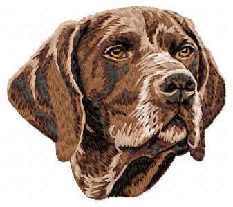 German Shorthaired Pointer - DD53