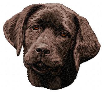 Labrador Retriever - DD60