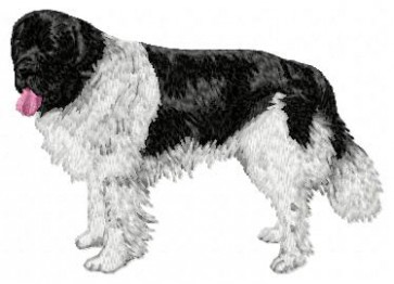 Landseer - DD66