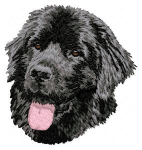 Newfoundland Dog - DD70