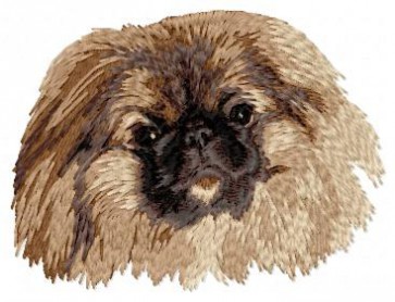 Pekinese - DD73