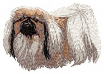 Pekinese - DD74