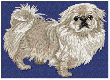 Pekinese - DD75