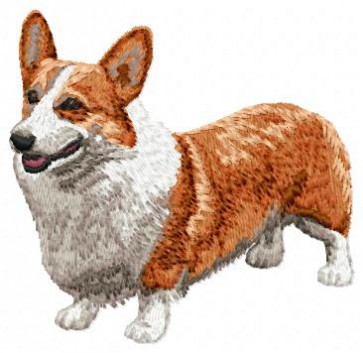 Pembroke Welsh Corgi - DD76